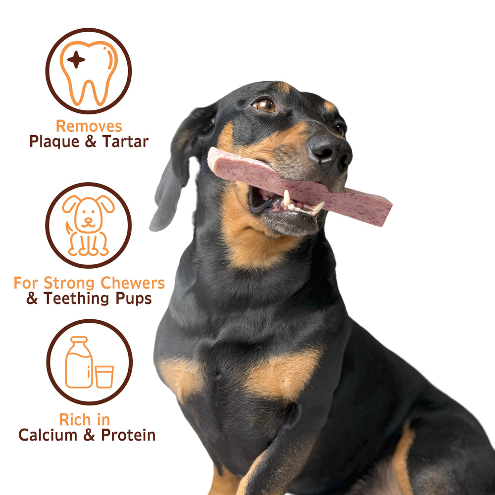 Treat your dog to TREABY's Blueberry Flavour Yak Chew (Medium Size, 2-Pack). Made with natural ingredients, these chews are perfect for puppies and adult dogs aged 14 weeks and older.  - Antler Chew