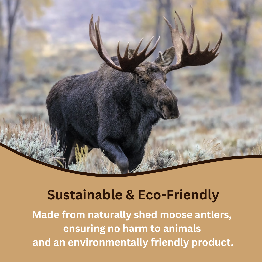 Natural Moose Dog Chews: Long-lasting, mineral-rich, Sustainable chews with harder marrow for lasting chewing sessions.  - Antler Chew