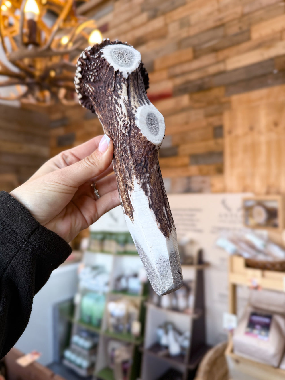 - Antler Chew
