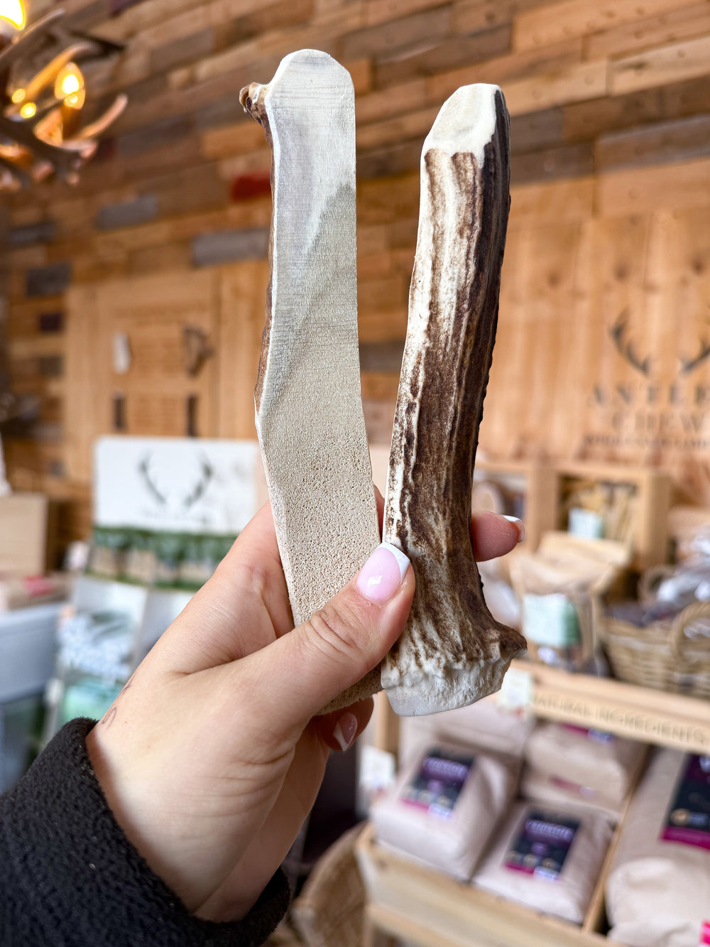 - Antler Chew