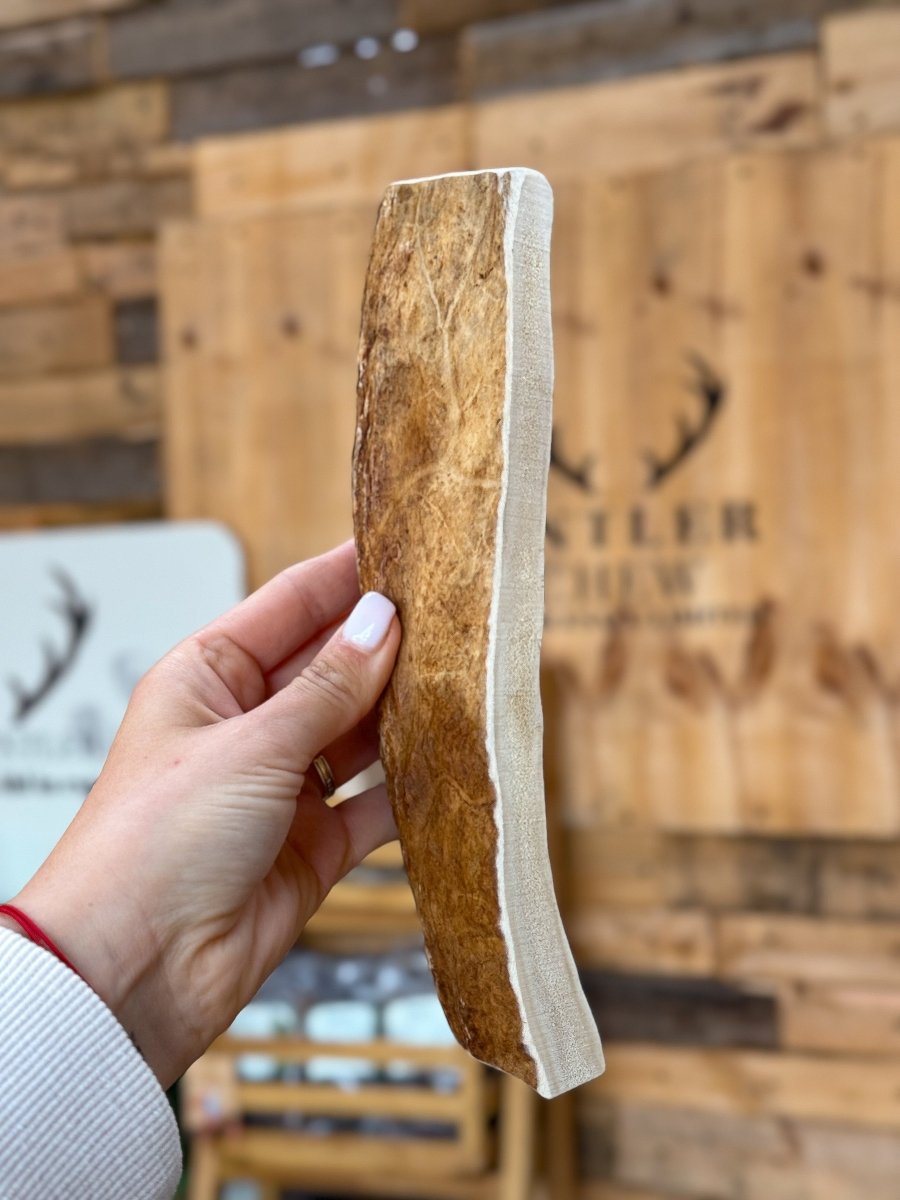 Elk Antler Paddle - 309g / 25cm - Antler Chew
