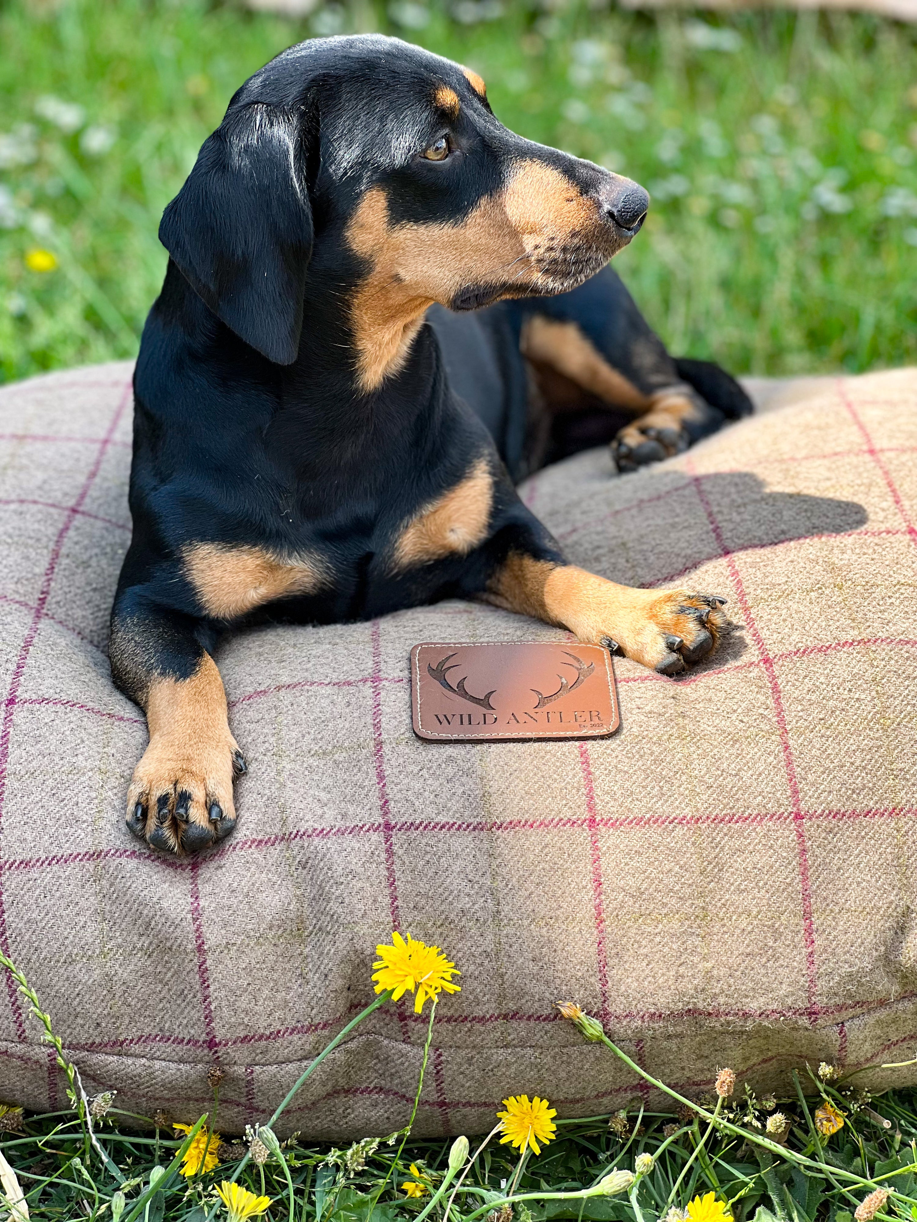 WILD ANTLER - Comfort Collection Luxury Dog Bed - Antler Chew