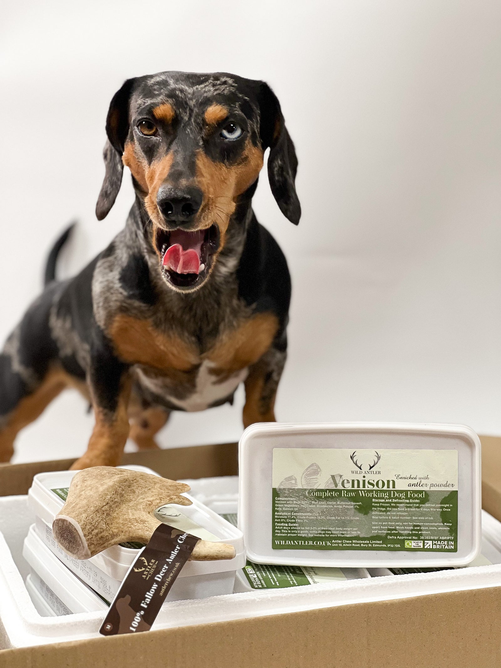 Starter Pack of Venison Raw Dog Food - Antler Chew