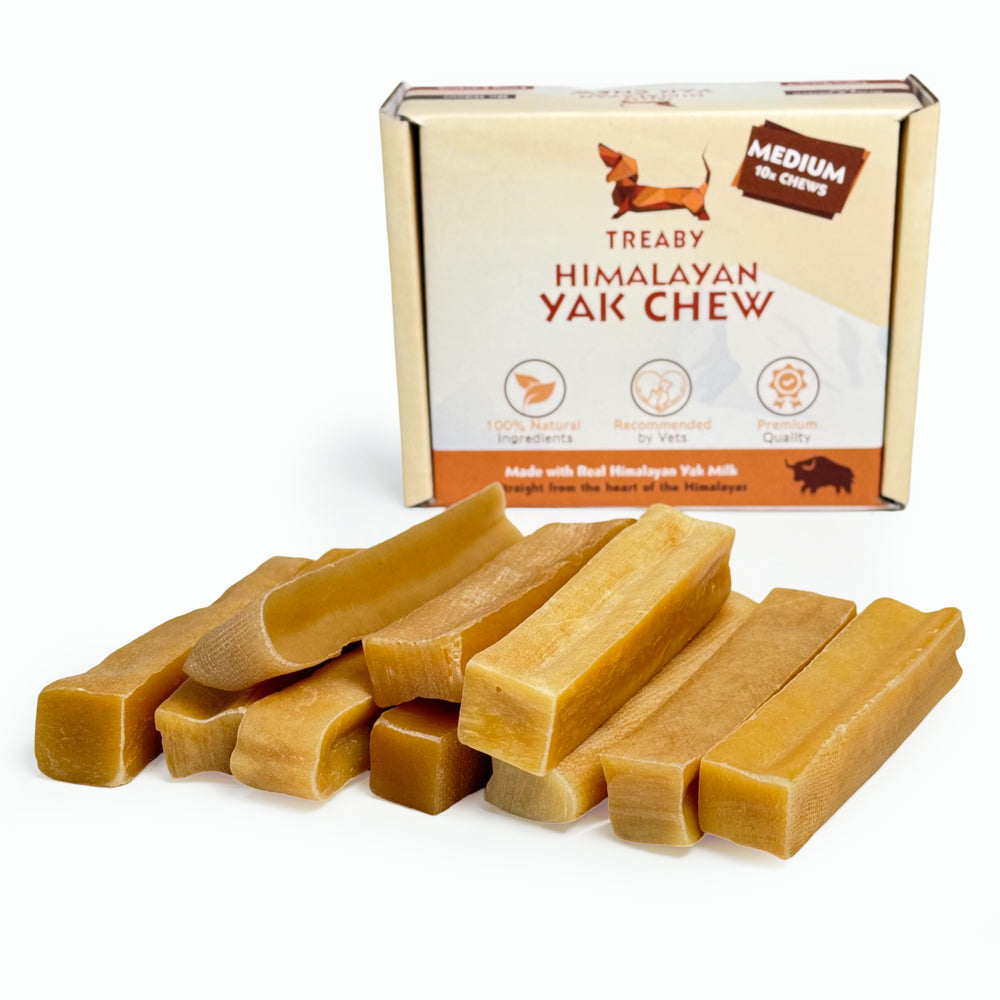 Shop Treaby Himalayan Yak Chew Bundles, crafted from pure Himalayan yak milk. Available in four sizes – small to extra large – these durable, natural dog chews promote dental health and provide hours of enjoyment. Perfect for all dog breeds. Order your pack today!  - Antler Chew