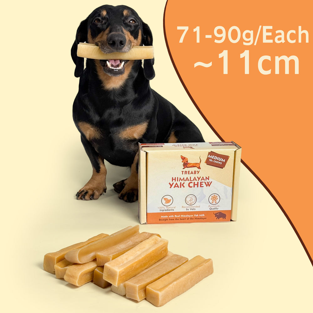 Shop Treaby Himalayan Yak Chew Bundles, crafted from pure Himalayan yak milk. Available in four sizes – small to extra large – these durable, natural dog chews promote dental health and provide hours of enjoyment. Perfect for all dog breeds. Order your pack today!  - Antler Chew