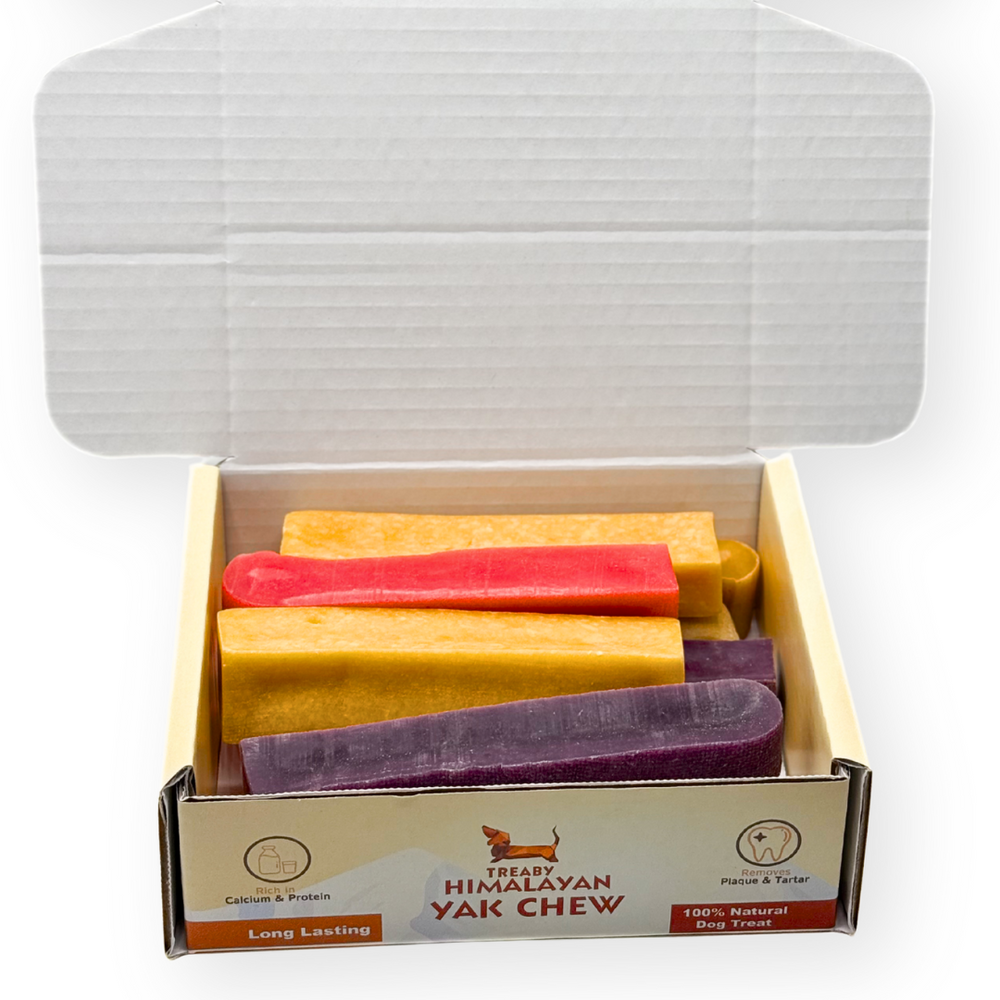 Natural Himalayan Yak Chew Box Bundle – All-Natural, Long-Lasting Dog Treat Keep your dog happy and engaged with the Treaby Himalayan Yak Chew Box. Save £££  - Antler Chew