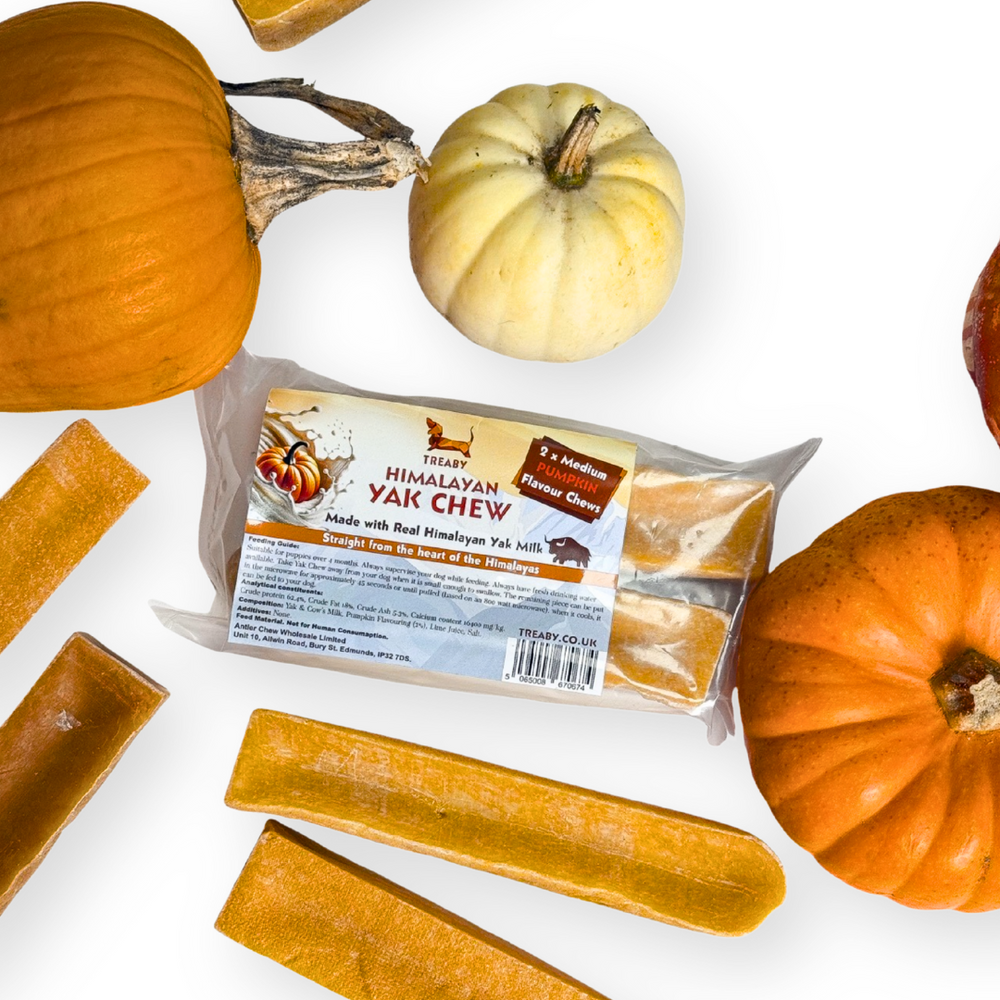 Treat your dog to TREABY's pumpkin-flavoured Yak Chew (Medium Size, 2-pack). Made with natural ingredients, these chews are perfect for puppies and adult dogs aged 14 weeks and older. Autumn flavour has arrived!  - Antler Chew