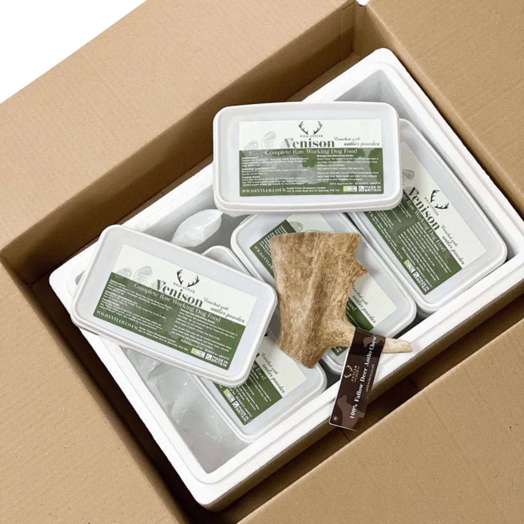 Venison raw dog food bundle with extra Fallow Deer Antler . Complete formula meal for dogs 24 weeks+.  Taste the Wild in every bite!   - Antler Chew