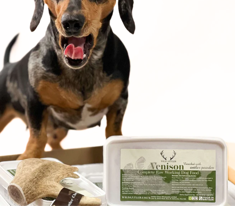 Antler Chew