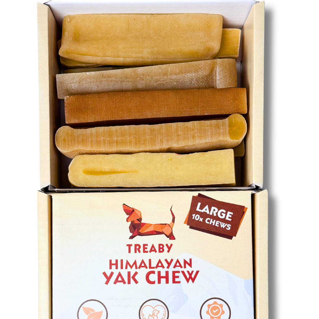 Himalayan Yak Chew, Long-lasting dog chews, Natural dog treats, Yak milk dog chews, Healthy dog chews, Safe dog chews for aggressive chewers, and Premium dog treats.  - Antler Chew