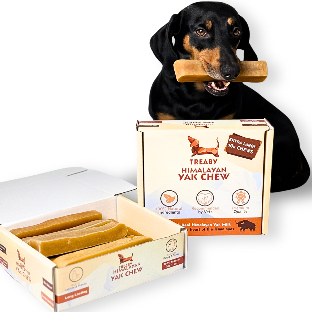 Treat your dog to the best with the Treaby Himalayan Yak Chew XL Bundle – 10 Extra-Large Chews for maximum satisfaction!  - Antler Chew