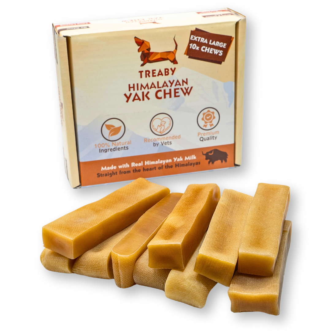 Treat your dog to the best with the Treaby Himalayan Yak Chew XL Bundle – 10 Extra-Large Chews for maximum satisfaction!  - Antler Chew