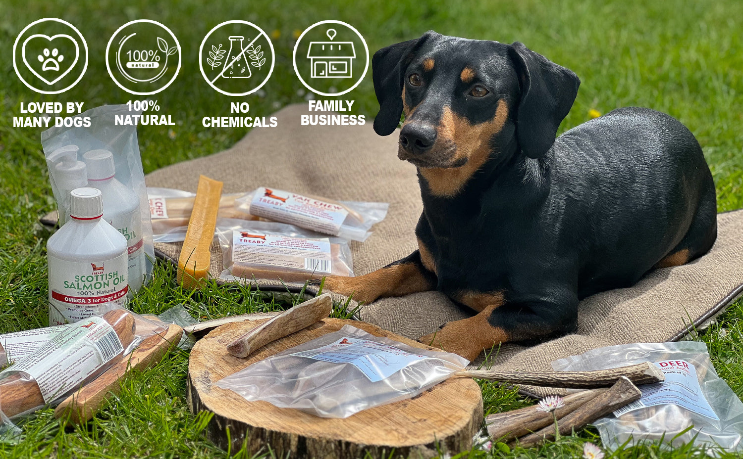Antler Chew