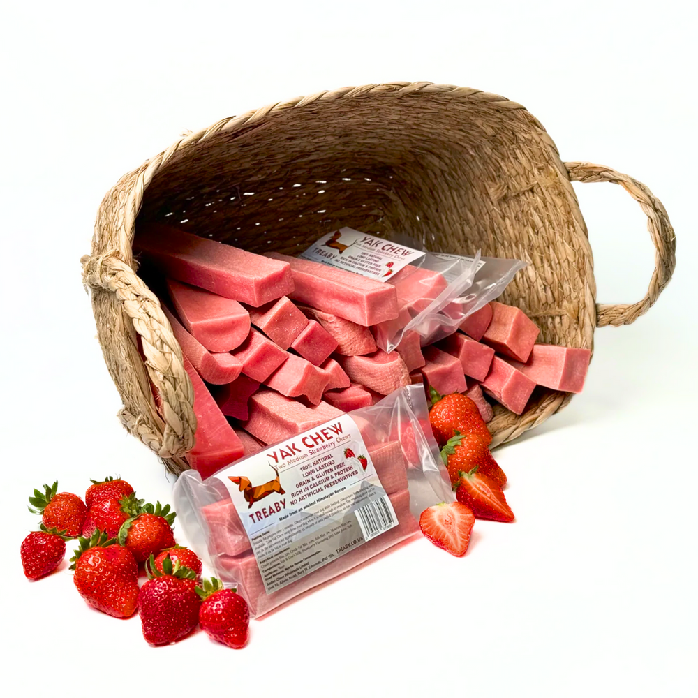 Treat your dog to TREABY's Strawberry Flavour Yak Chew (Medium Size, 2-Pack). Made with natural ingredients, these long-lasting chews are packed with protein, calcium, and antioxidants, supporting dental health. They are perfect for puppies and adult dogs aged 14 weeks and older.  - Antler Chew