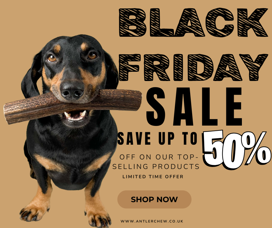 Black Friday at Antler Chew: The Sale Every Pet Lover Has Been Waiting For!