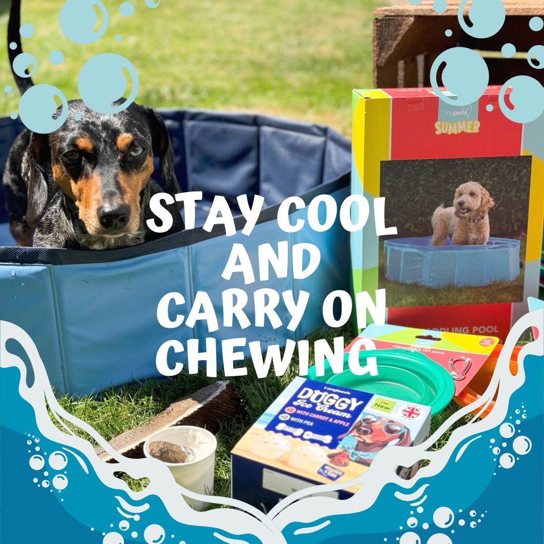 ❄️How to Keep Your Dog Cool During Summer❄️ - Antler Chew