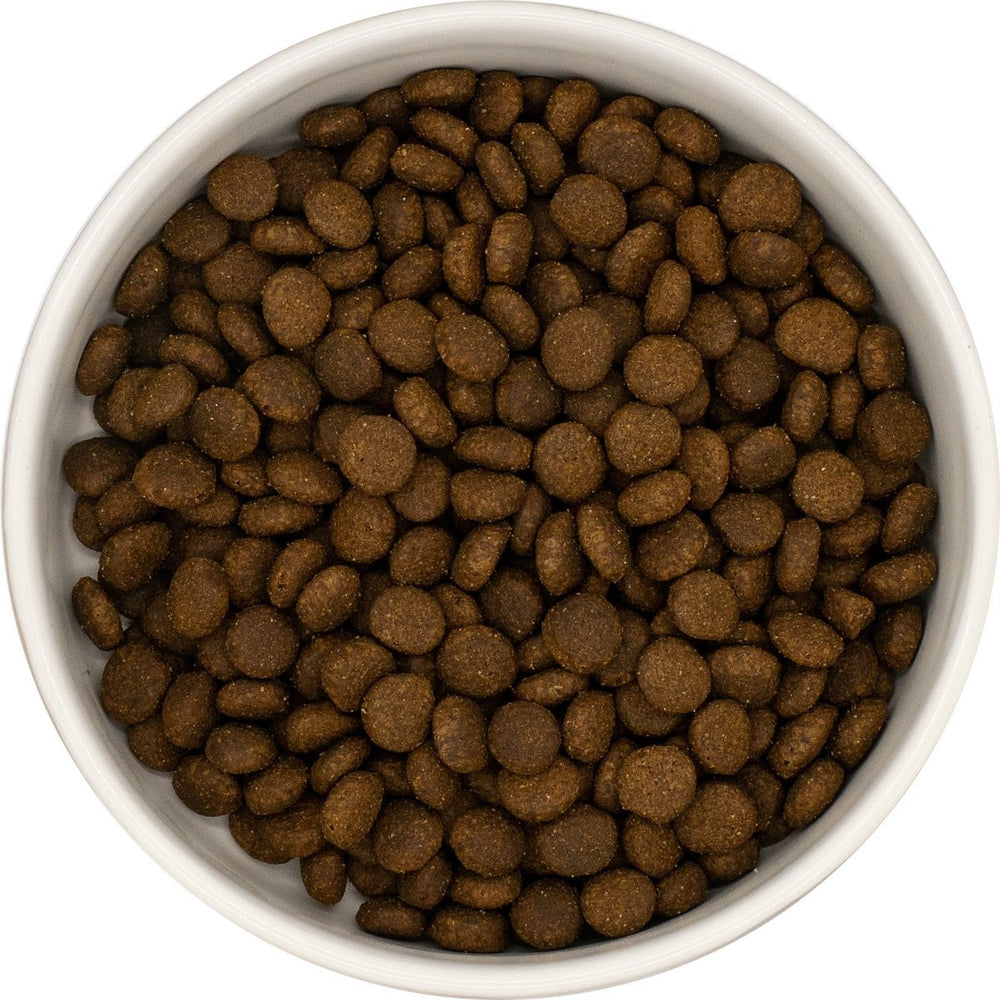 Venison, Sweet Potato & Mulberry Natural Dog Food - Antler Chew