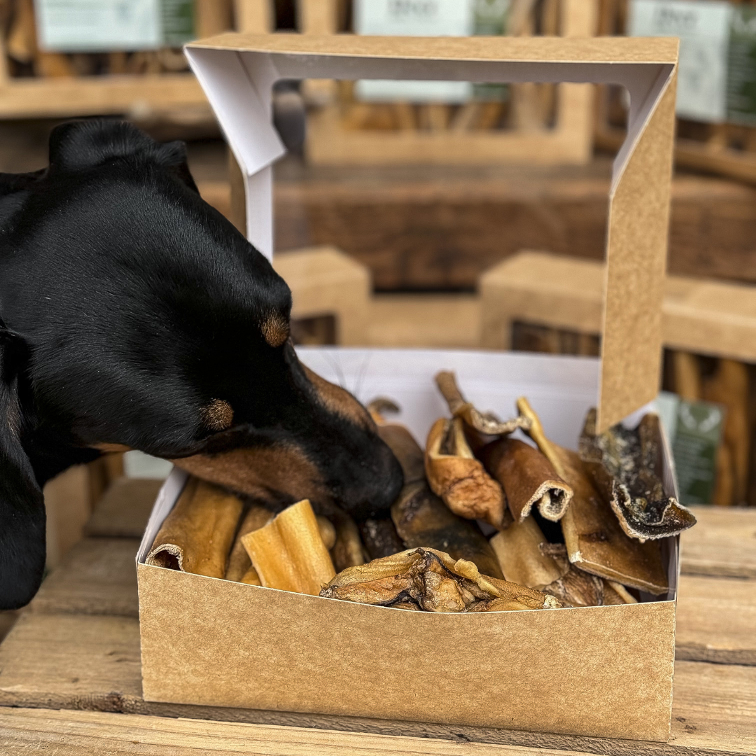 Deer Jerky Chew Box 500G