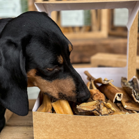 Antler Chew
