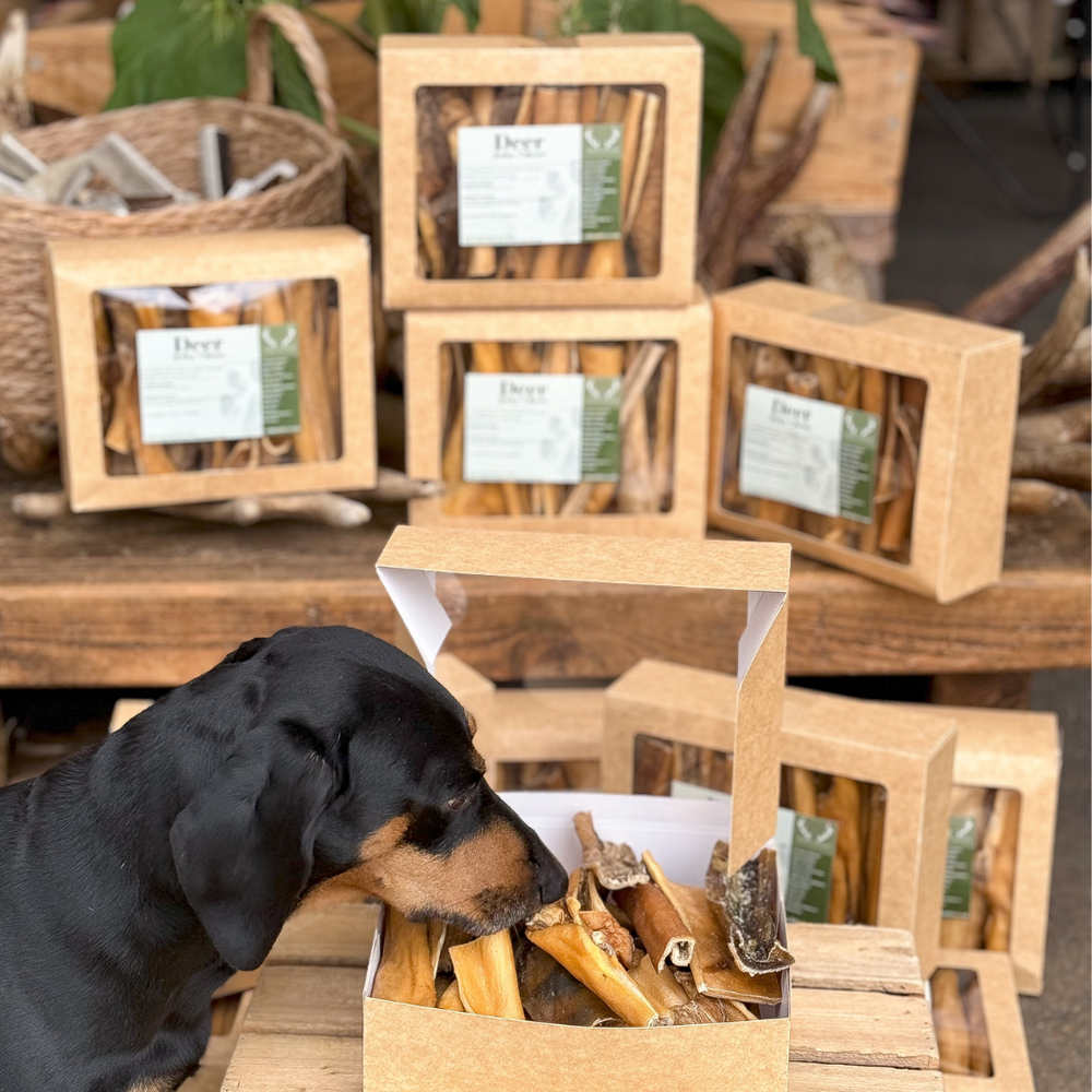 Deer Jerky Chew Box 500G