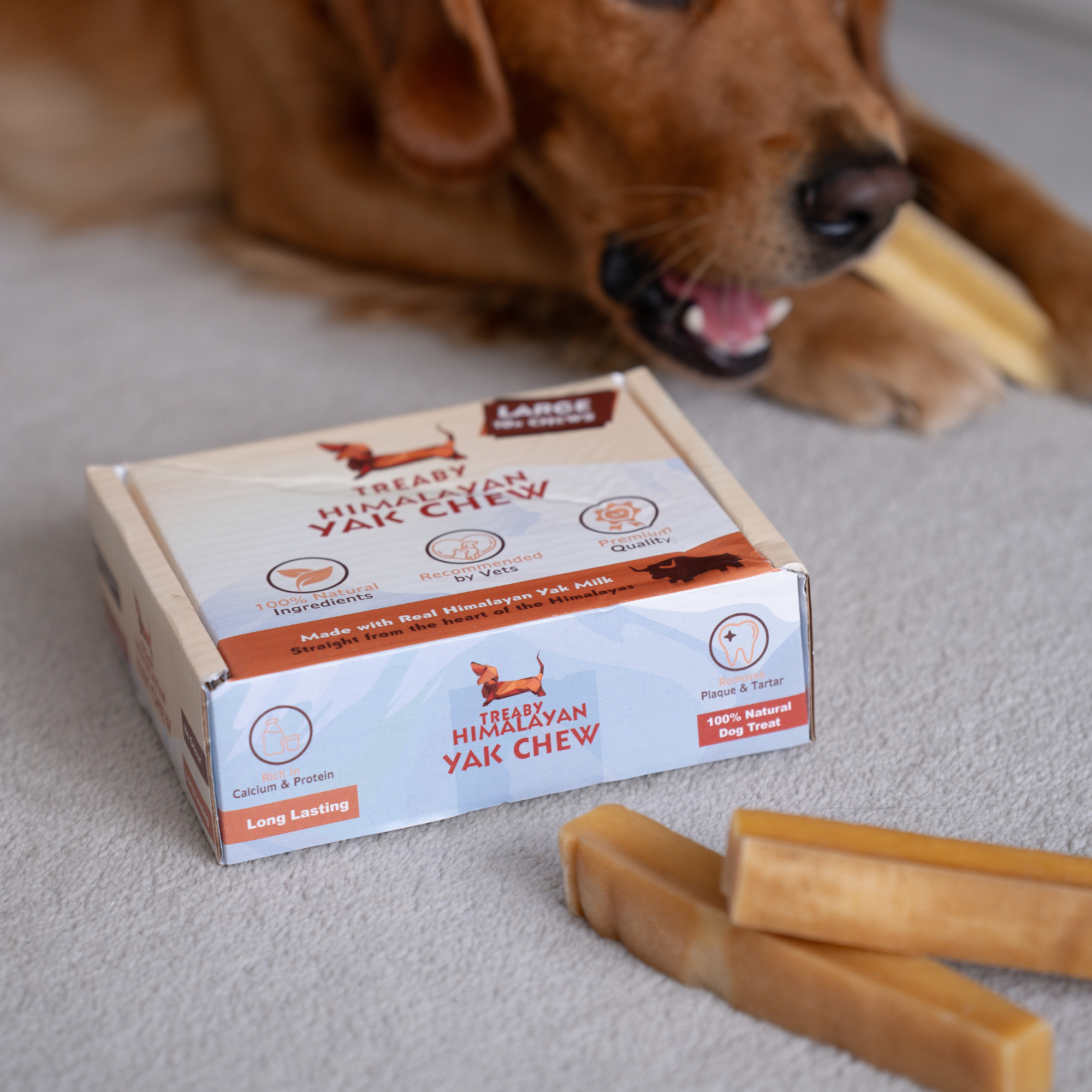   - Antler Chew 