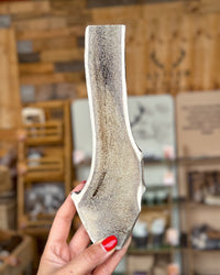 Antler Chew