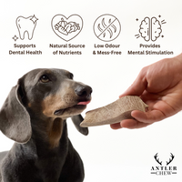100% Natural Fallow Deer Dog Chews for soft to medium chewers. Packed with minerals, protein, and calcium to strengthen teeth. Sustainable sourced.  - Antler Chew 