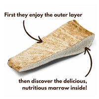 100% Natural Fallow Deer Dog Chews for soft to medium chewers. Packed with minerals, protein, and calcium to strengthen teeth. Sustainable sourced.  - Antler Chew 