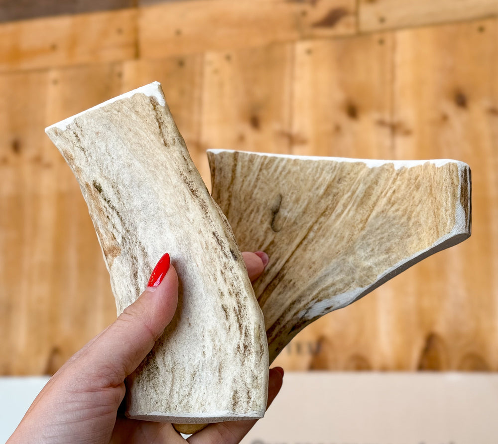 Elk Antler -Bundle  of two 482 G / 14CM