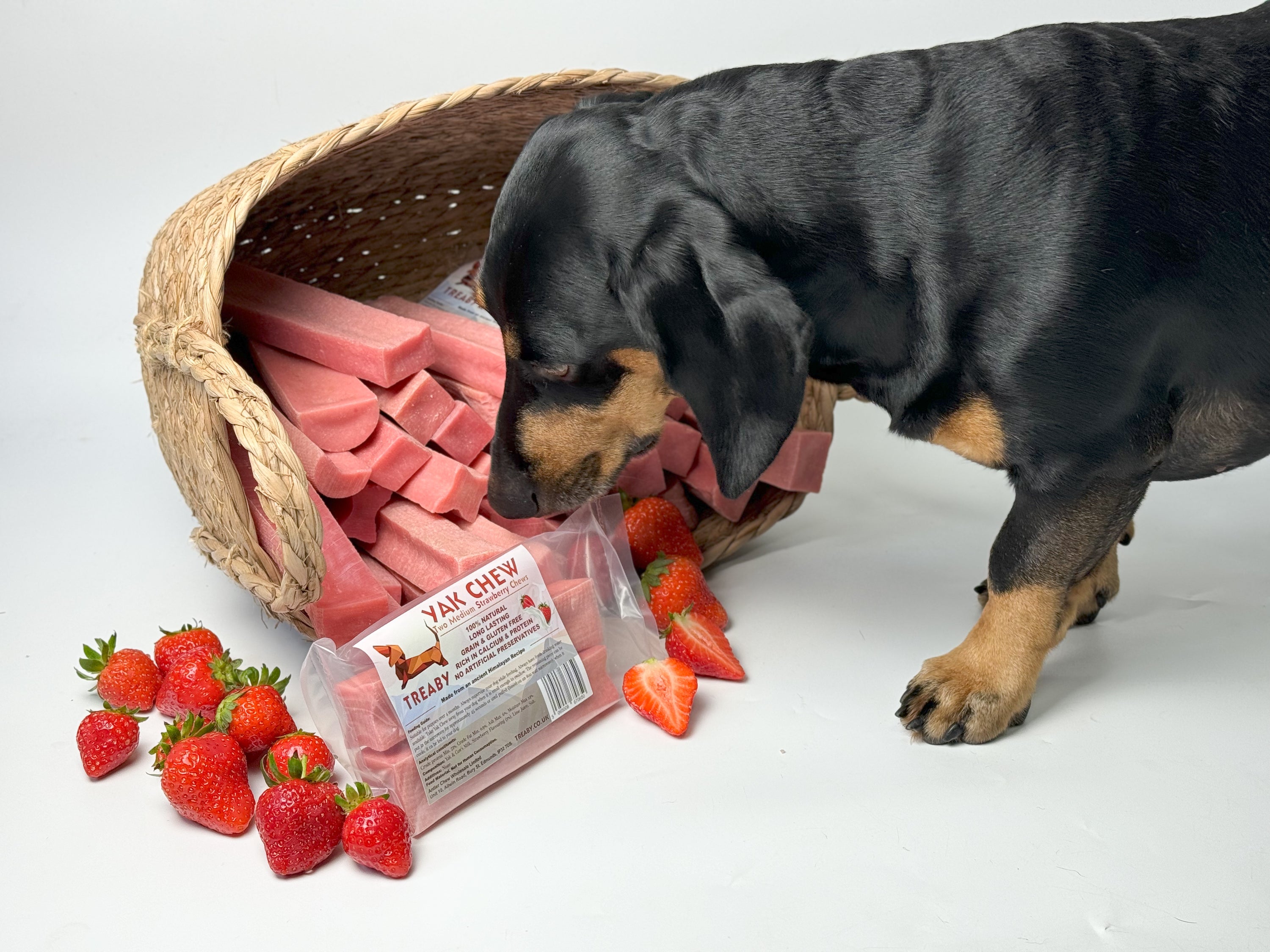 Treat your dog to TREABY's Strawberry Flavour Yak Chew (Medium Size, 2-Pack). Made with natural ingredients, these long-lasting chews are packed with protein, calcium, and antioxidants, supporting dental health. They are perfect for puppies and adult dogs aged 14 weeks and older.  - Antler Chew 