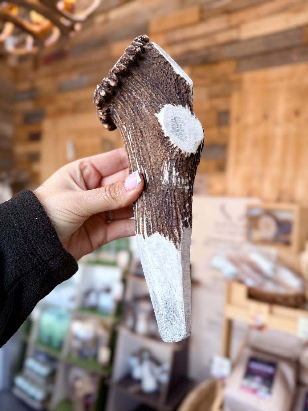   - Antler Chew 