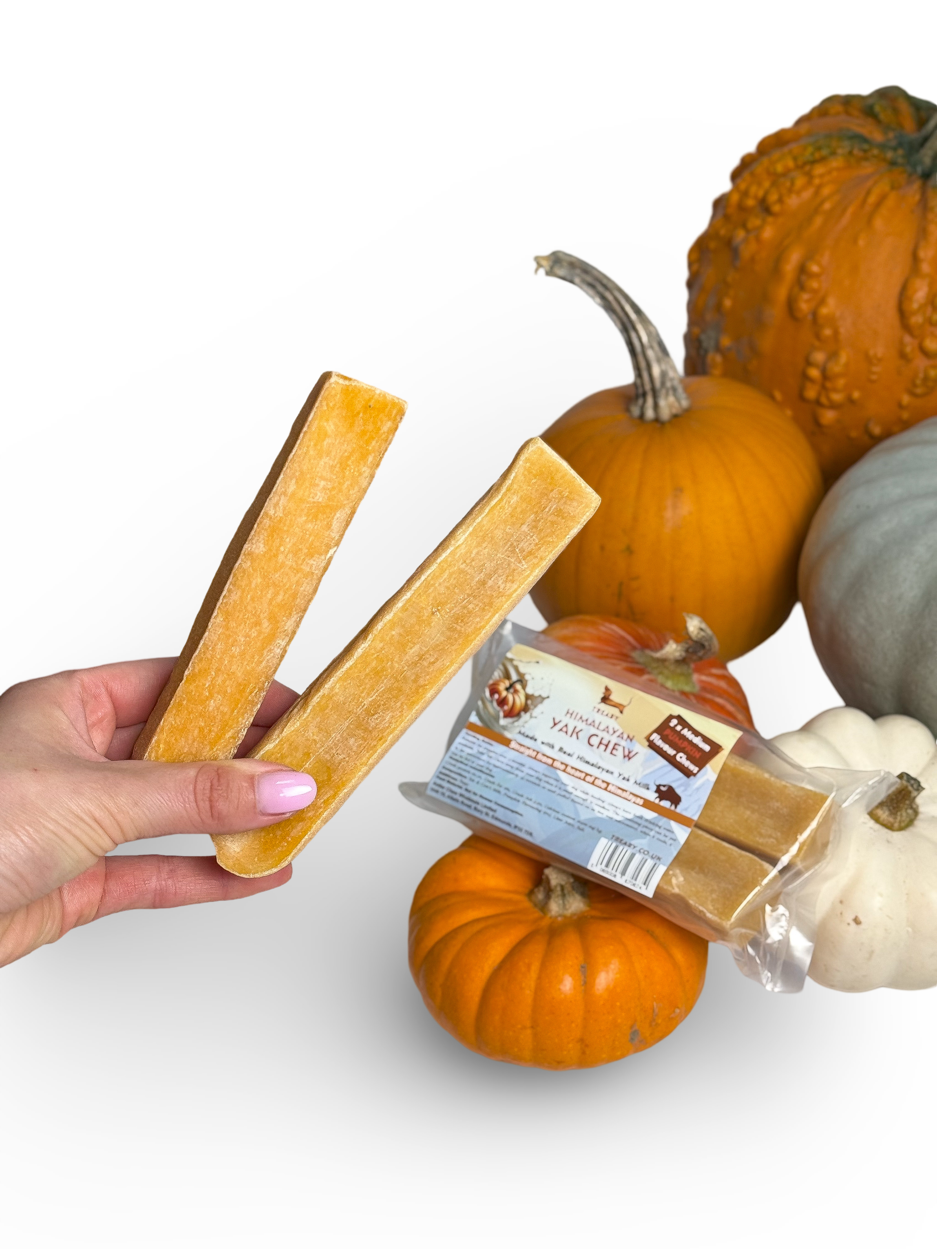 Pumpkin Himalayan Yak chew - Medium Size, Pack of 2