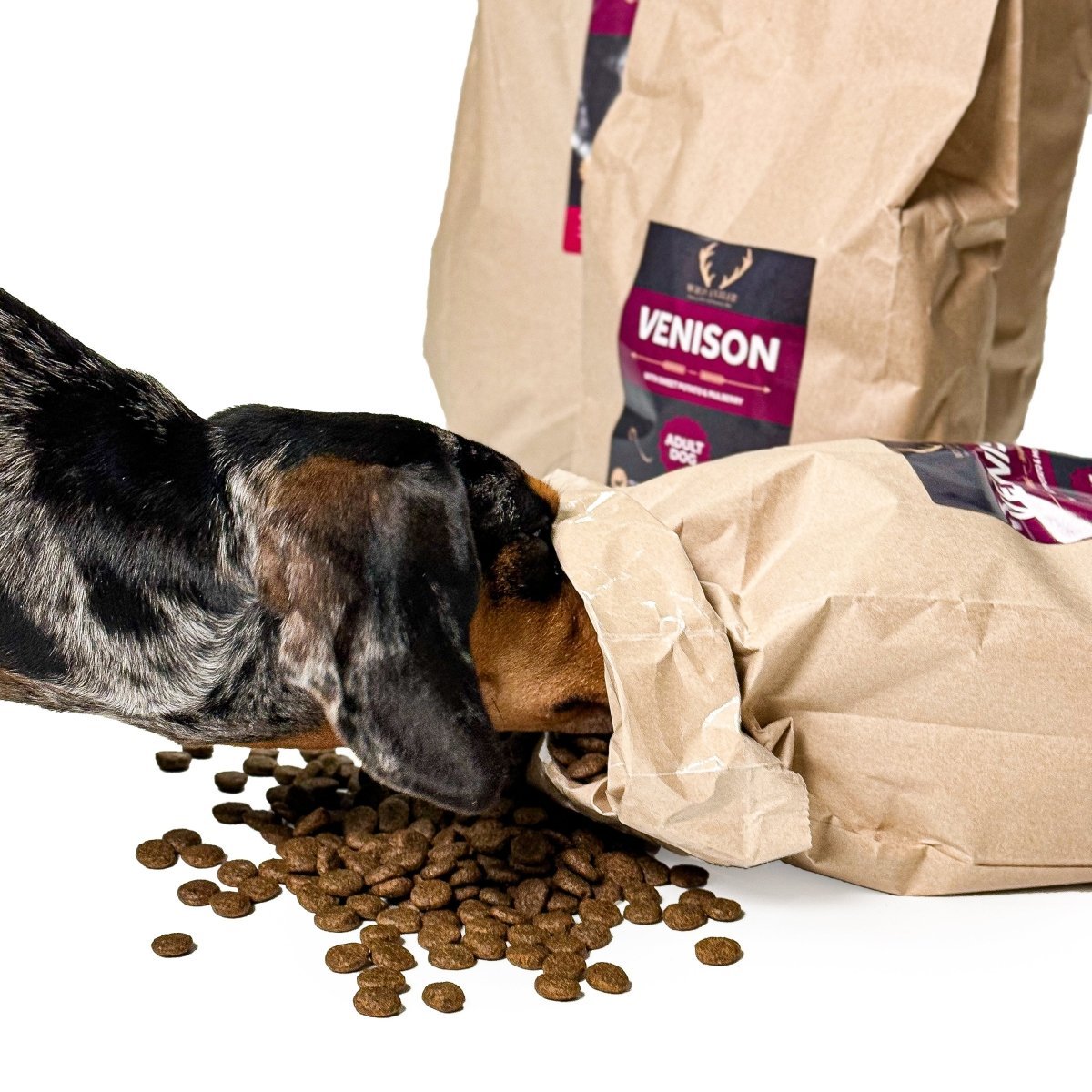 Venison, Sweet Potato & Mulberry Natural Dog Food - Antler Chew