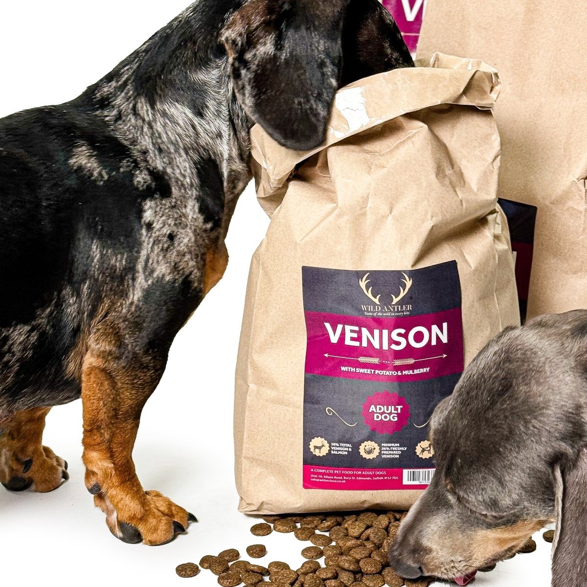 Best venison dog food hotsell