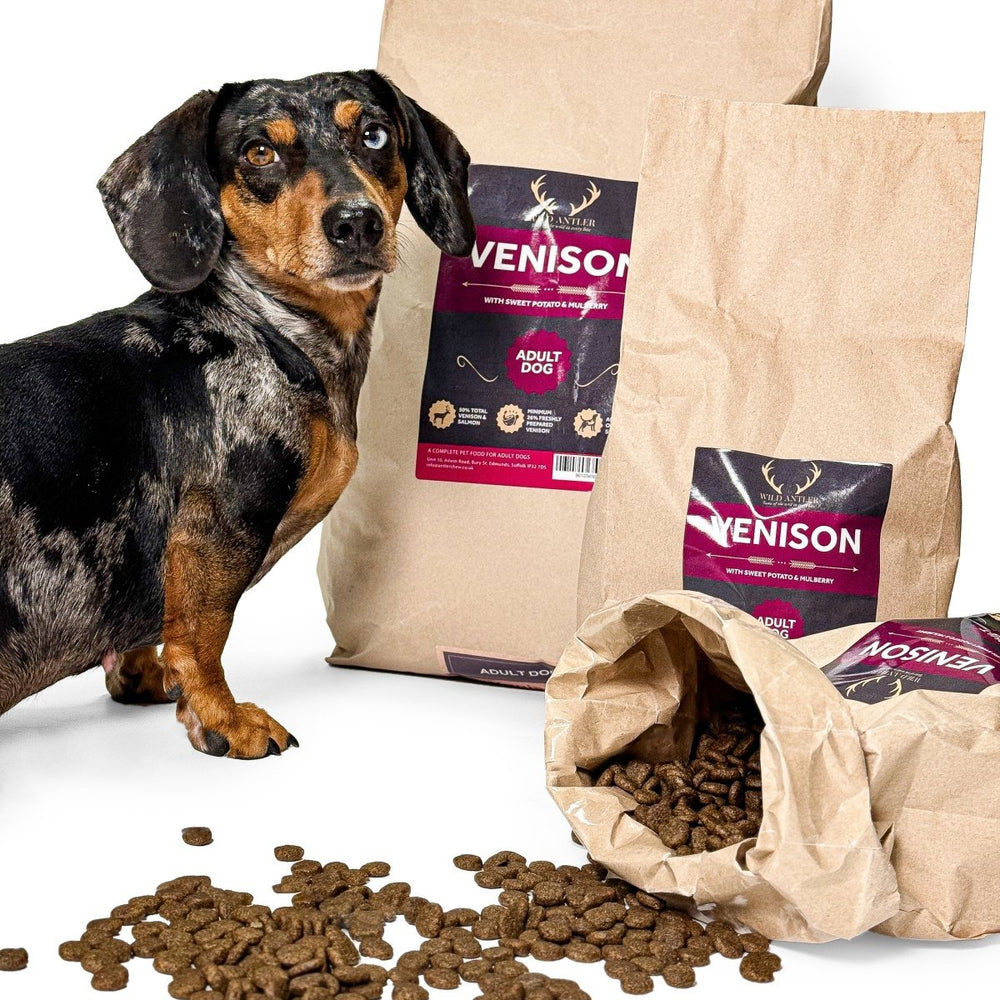 Venison, Sweet Potato & Mulberry Natural Dog Food - Antler Chew