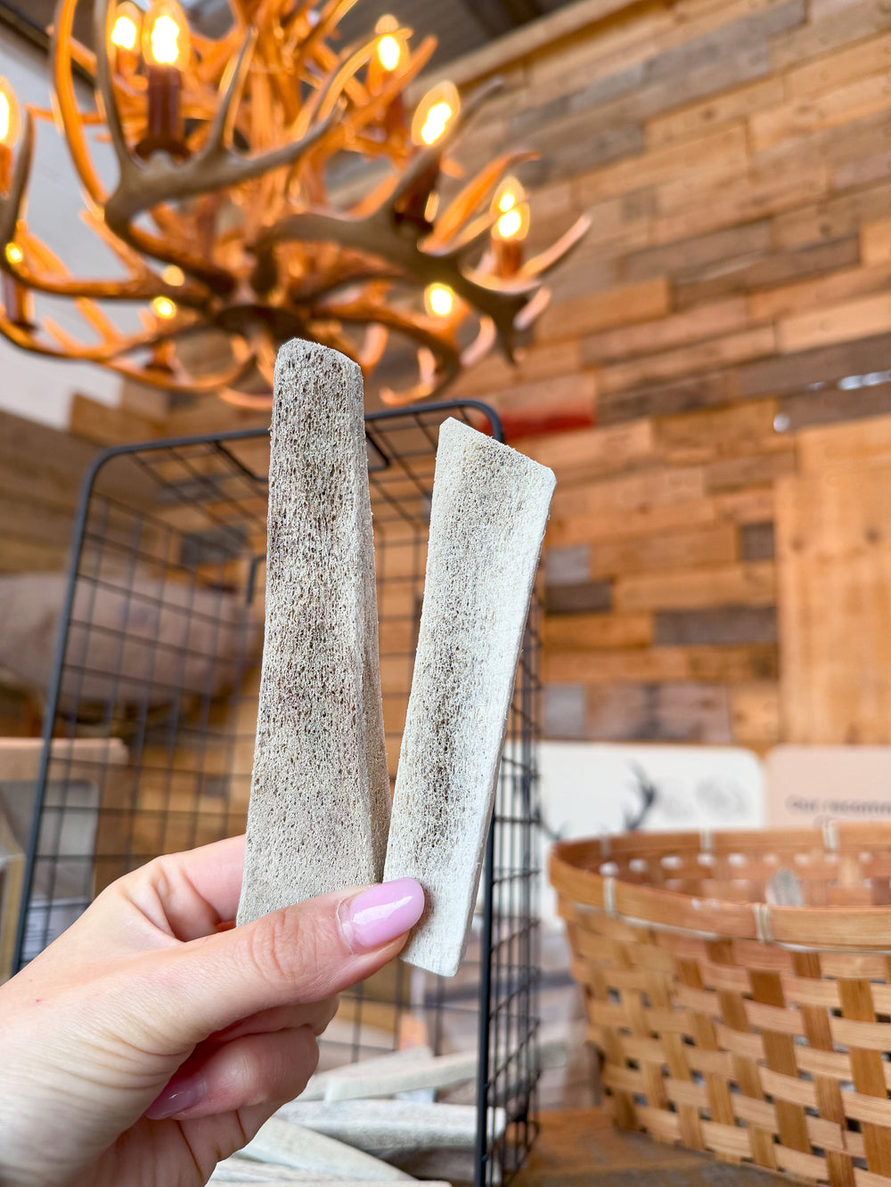 Soft, crunchy antler marrow treats for small to medium dogs. Packed with natural vitamins to boost health. Sustainably sourced and carefully cut. Not a chew, but a premium treat. Available at AntlerChew.co.uk  - Antler Chew 