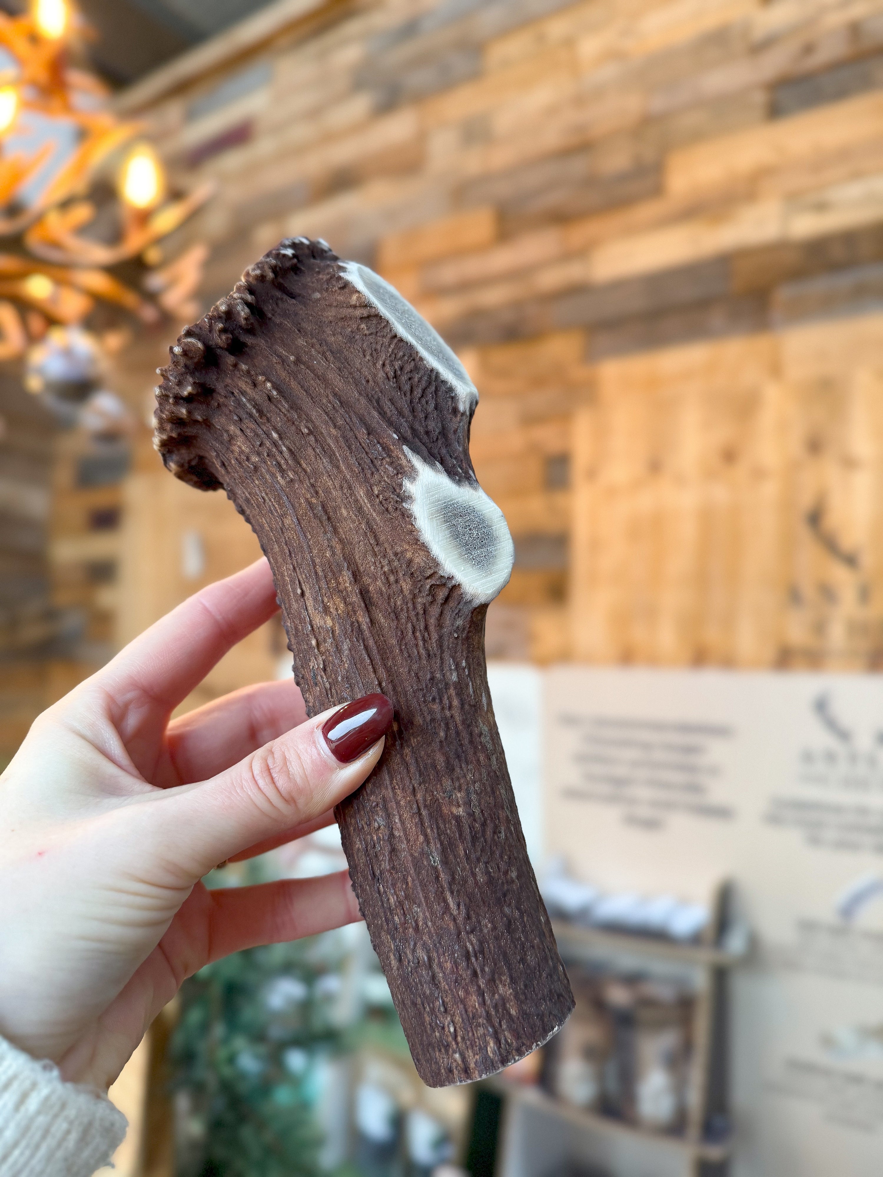 Satisfy your dog's chewing urges with our Limited Chews. Dense and long-lasting, it is perfect for dental health and anxiety relief  - Antler Chew 