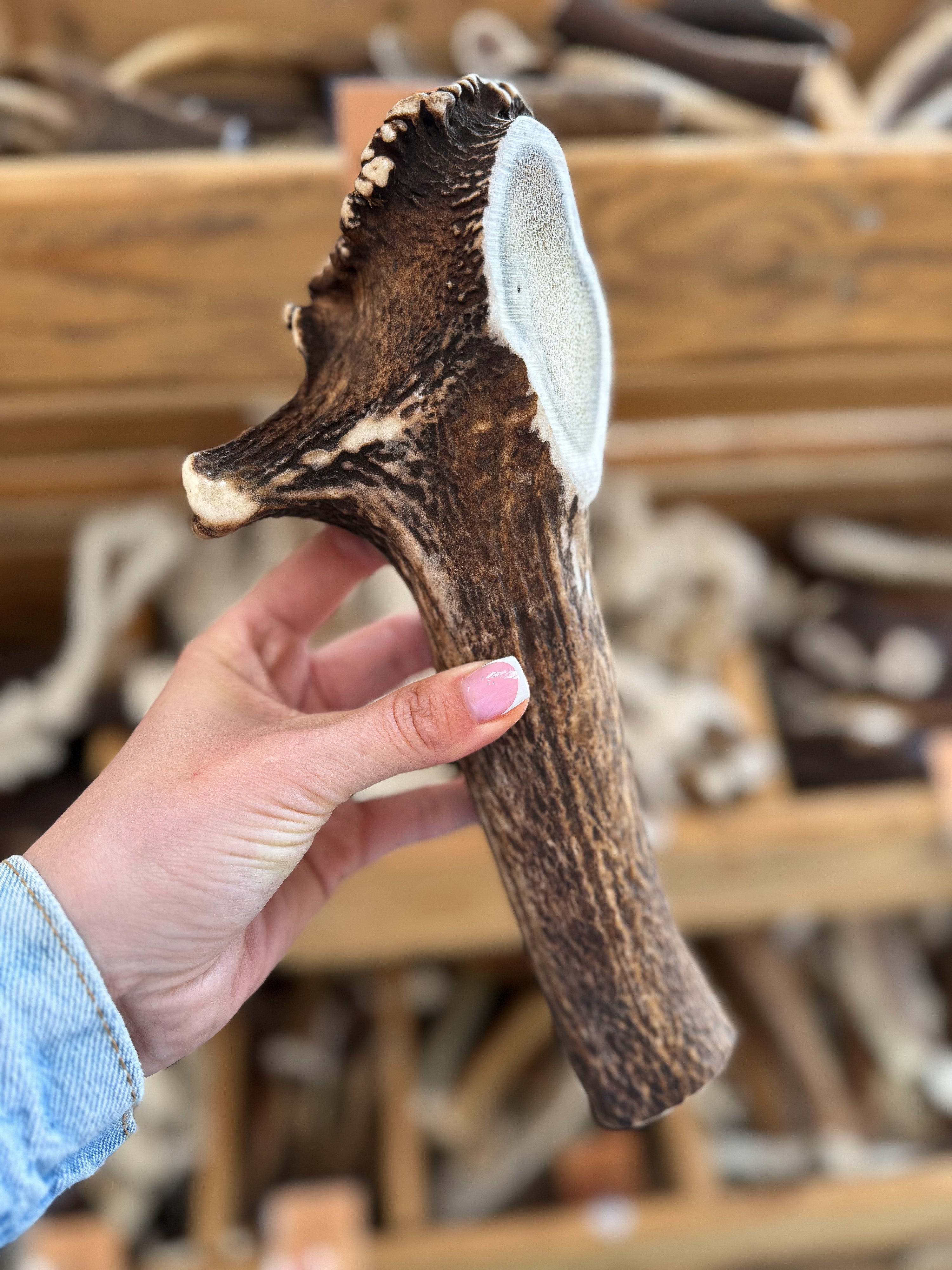 Satisfy your dog's chewing urges with our Limited Chews. Dense and long-lasting, it is perfect for dental health and anxiety relief  - Antler Chew 