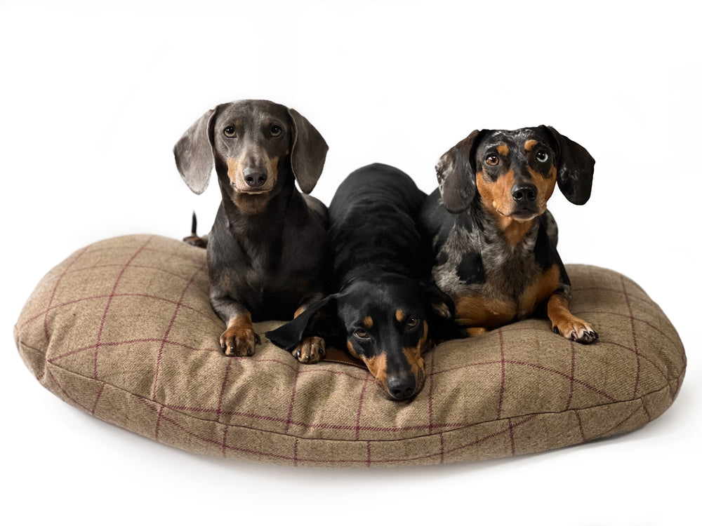 WILD ANTLER - Comfort Collection Luxury Dog Bed - Antler Chew