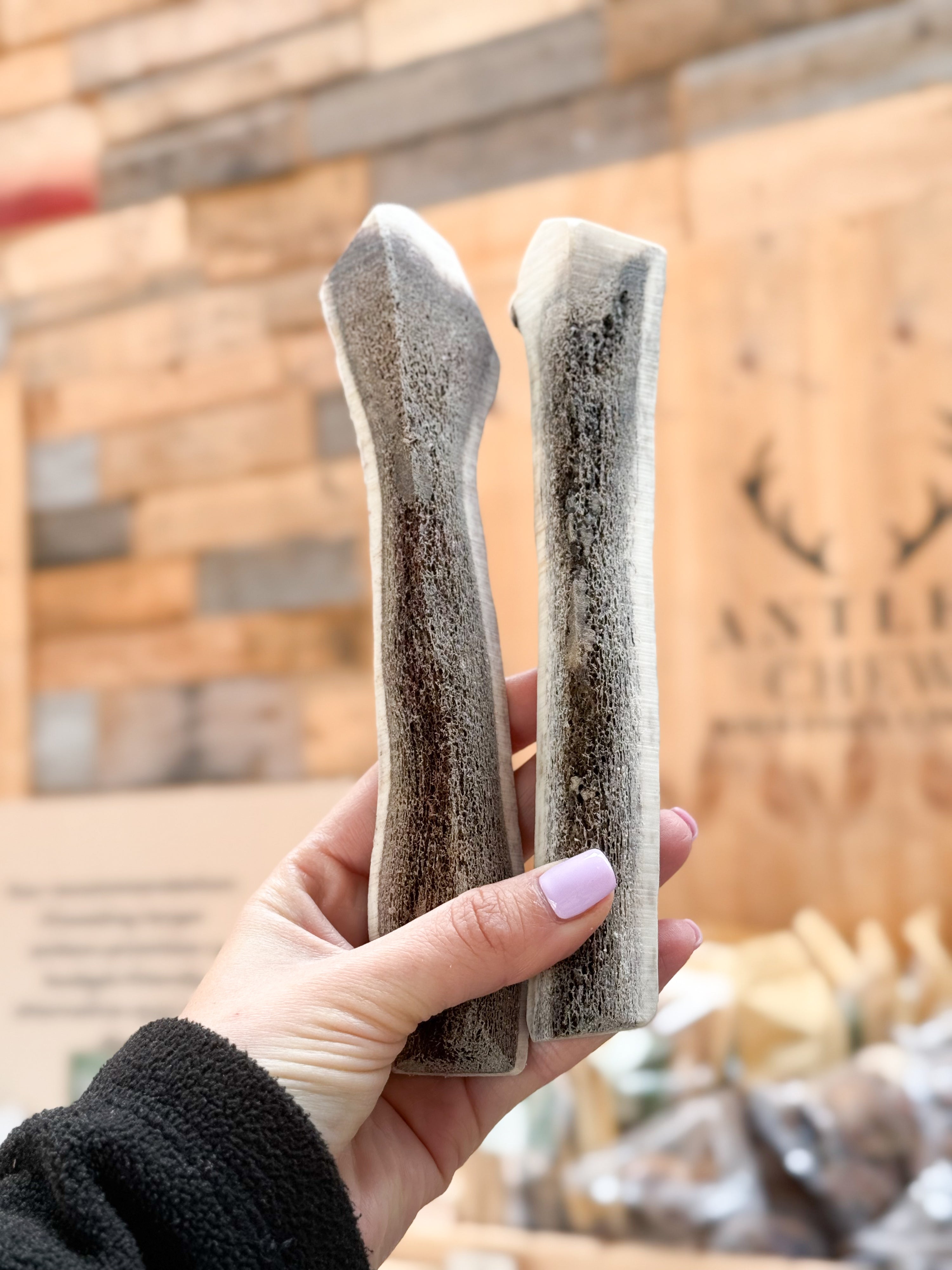 Satisfy your dog's chewing urges with our Limited Chews. Easy chew, full of calcium and minerals.Pack of two chews.  - Antler Chew 