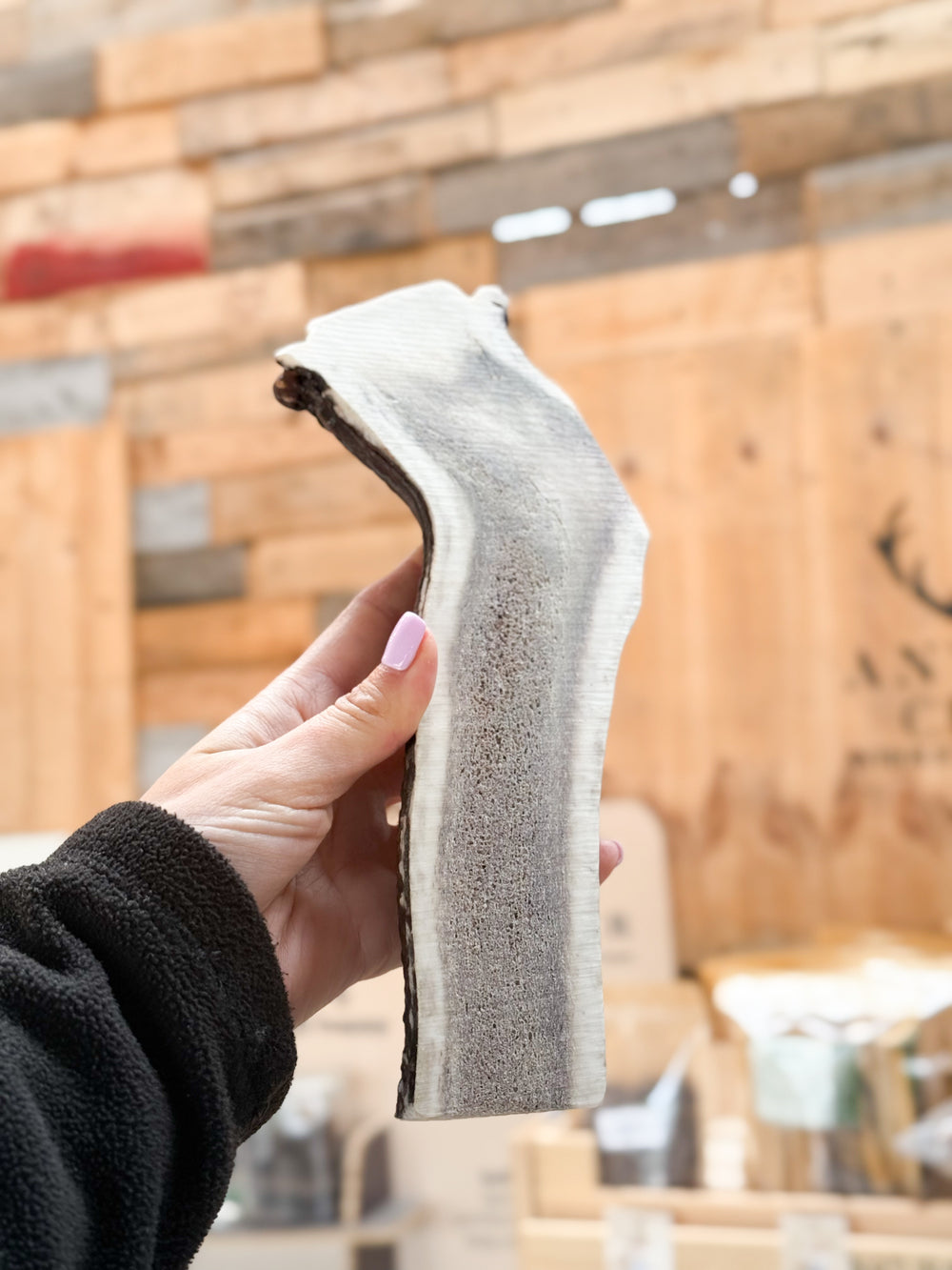 Satisfy your dog's chewing urges with our Limited Chews. Easy chew, full of calcium and minerals. Only available at Antler Chew!   - Antler Chew 
