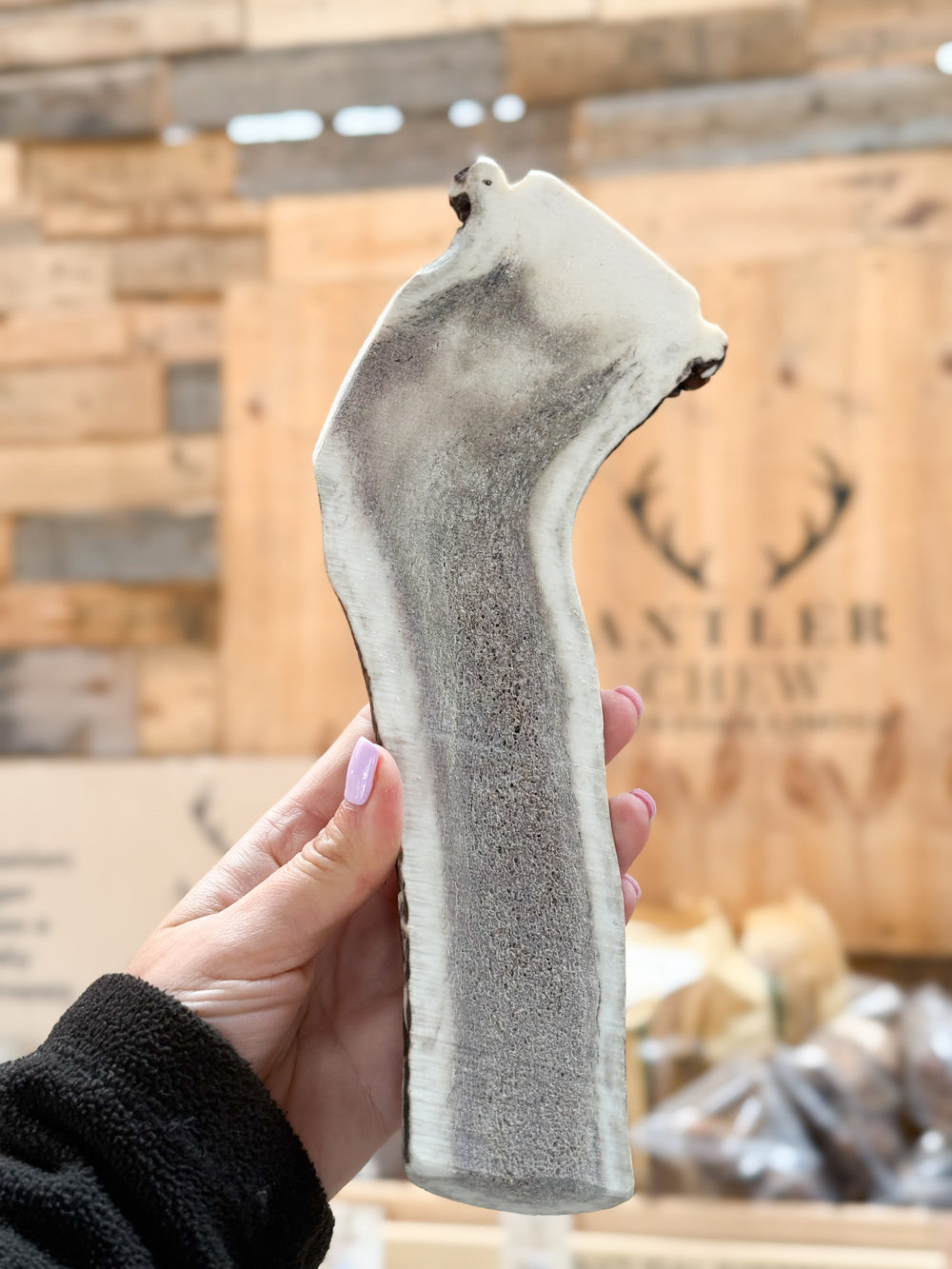 Satisfy your dog's chewing urges with our Limited Chews. Easy chew, full of calcium and minerals. Only available at Antler Chew!   - Antler Chew 