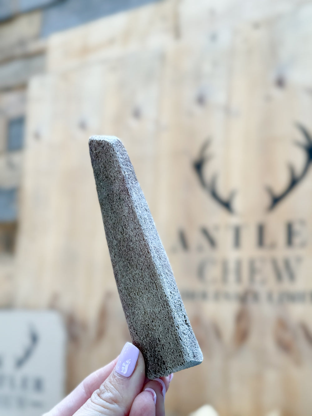 Soft, crunchy antler marrow treats for small dogs. Packed with natural vitamins to boost health. Sustainably sourced and carefully cut. Not a chew, but a premium treat. Available only at AntlerChew.co.uk  - Antler Chew 