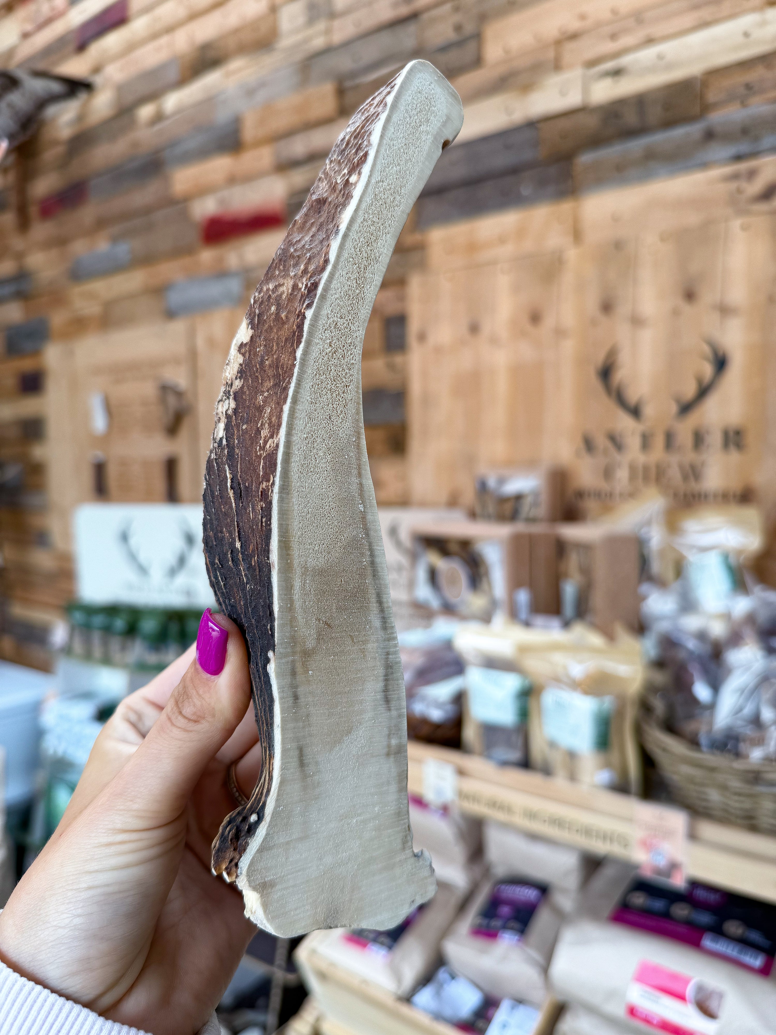 Split Moose Antler – 305g / 24cmThis extra-long Split Moose Antler offers a softer chew than traditional antlers, making it ideal for dogs who prefer an easier gnaw. At 305g and 24cm, it's a substantial, naturally shed piece that combines gentle texture with serious chewing satisfaction. Part of our special Antler Selection.  - Antler Chew 