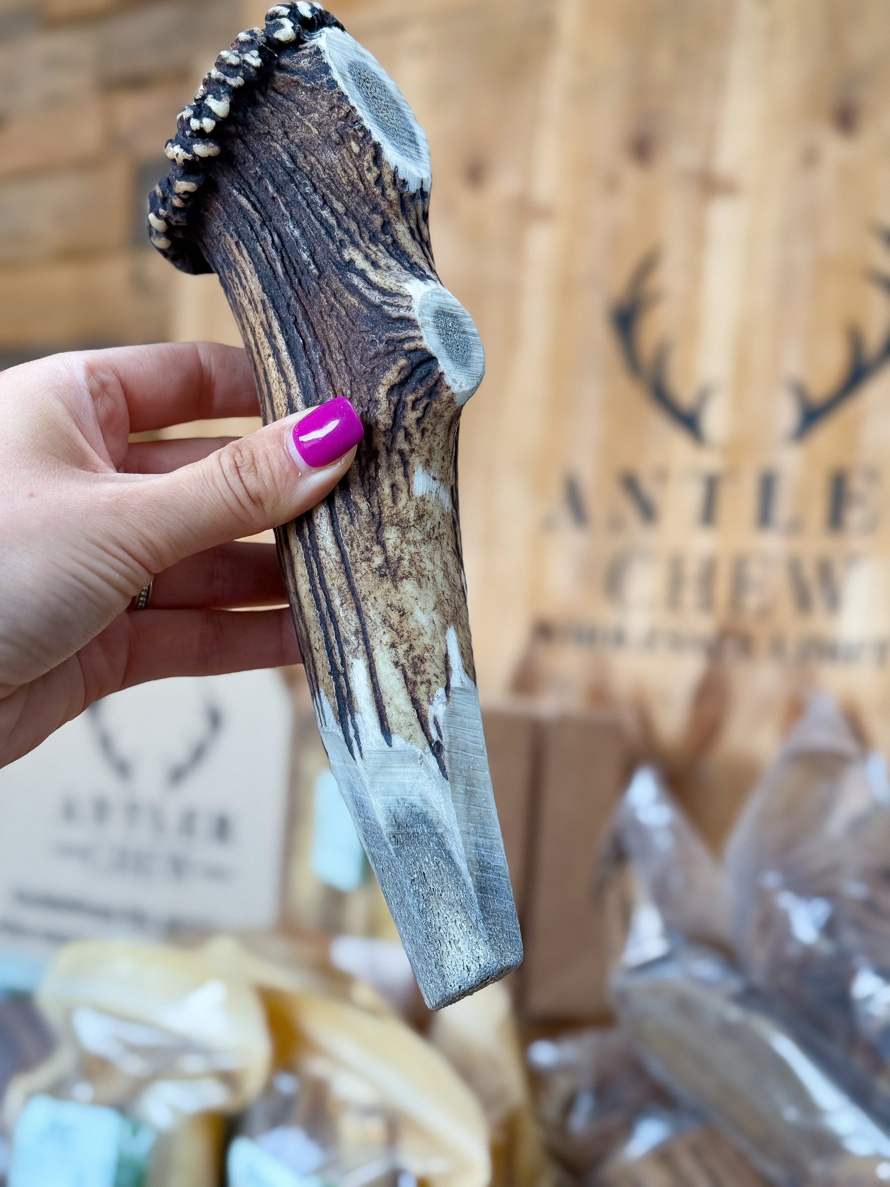   - Antler Chew 