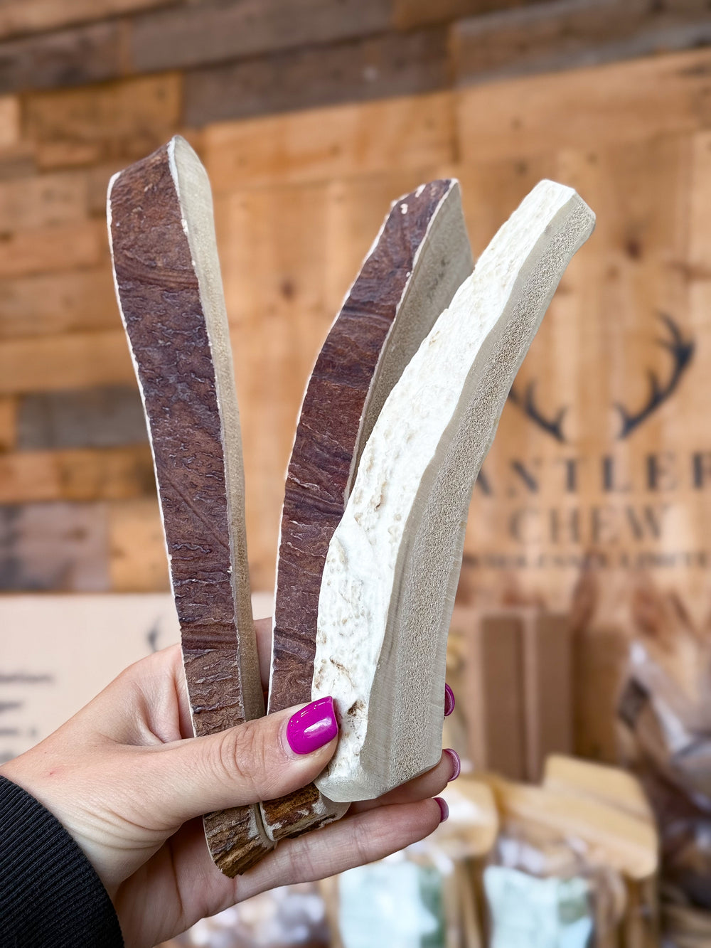 Elk / Moose Paddle Chew Bundle –290g / Pack of 3 / From 18cm+