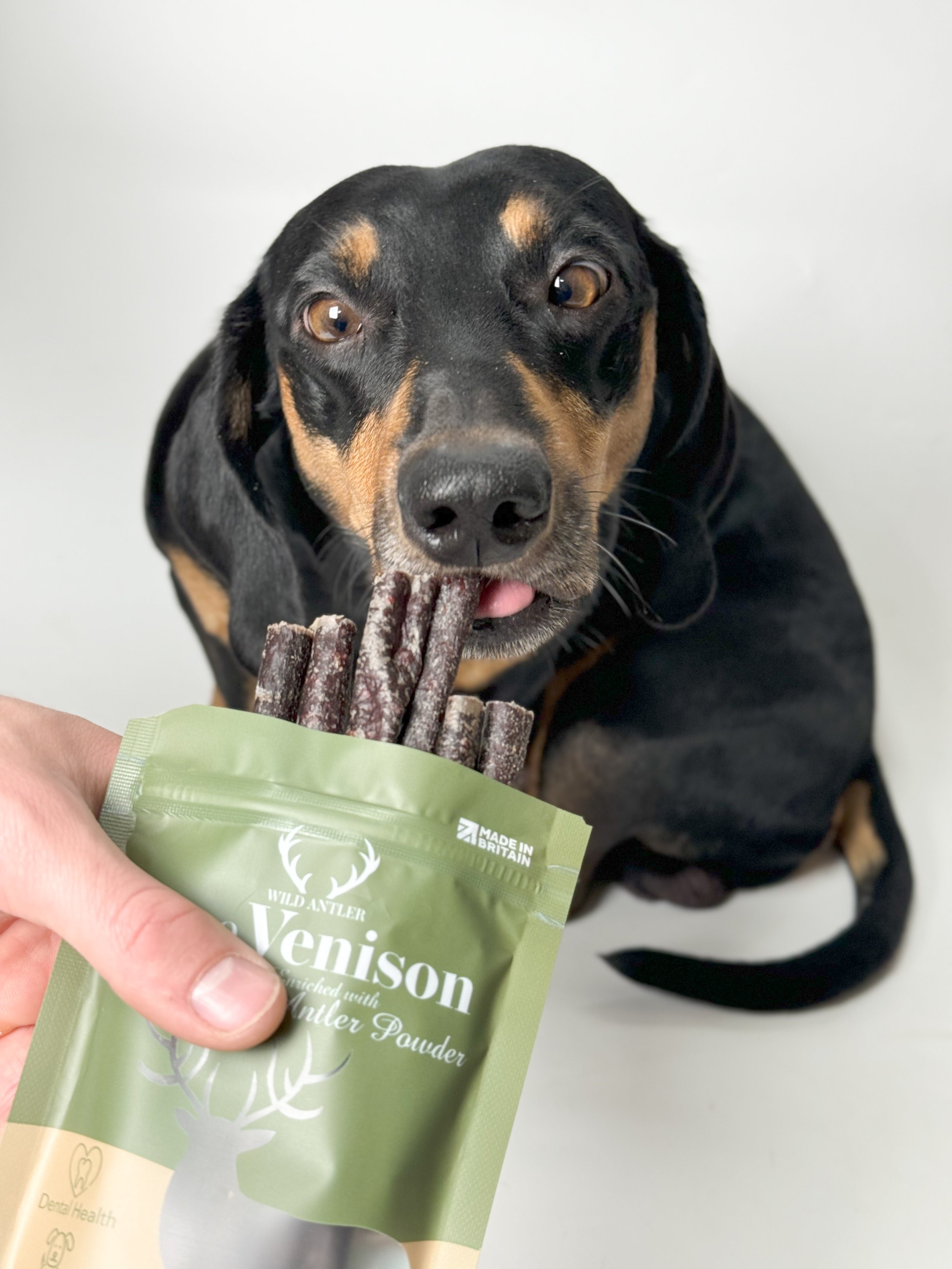 Boost your dog's health with our Pure Venison Sticks enriched with natural antler powder. High in protein, grain-free, and supports dental health.   - Antler Chew 