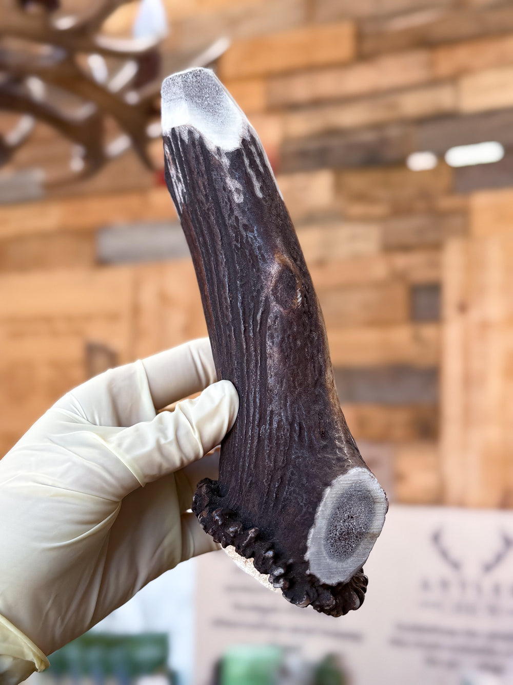   - Antler Chew 