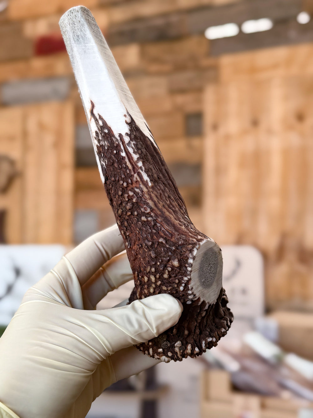   - Antler Chew 