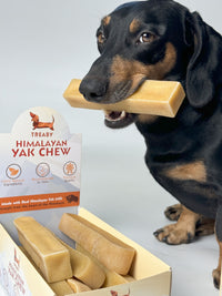 Shop Treaby Himalayan Yak Chew Bundles, crafted from pure Himalayan yak milk. Available in four sizes – small to extra large – these durable, natural dog chews promote dental health and provide hours of enjoyment. Perfect for all dog breeds. Order your pack today!  - Antler Chew 